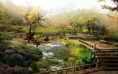 /album/wallpapers-variados/japanese-garden-wallpaper-2560x1600-jpg/